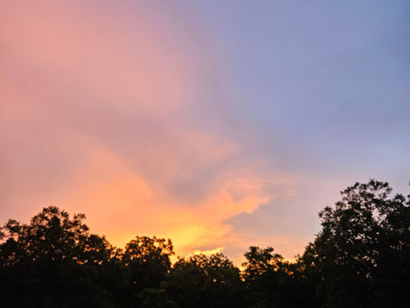 Welcome to The Verdant Table