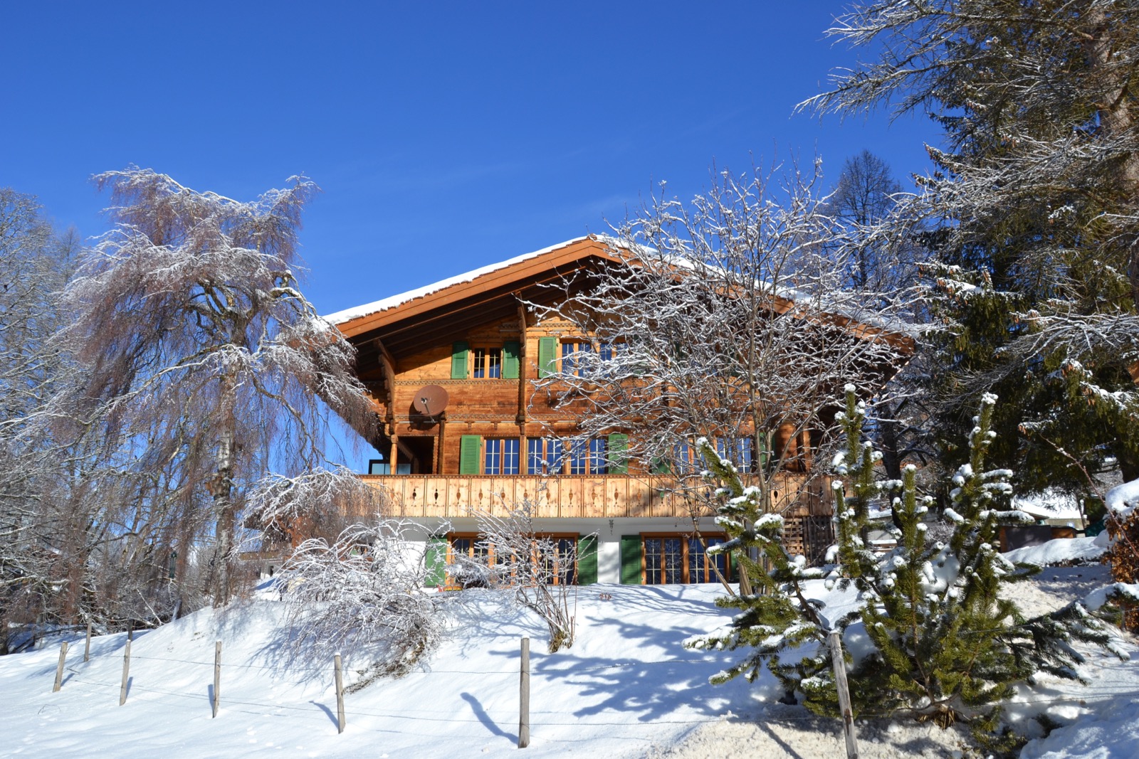 Chalet Am Bruggli Ferienwohnung Lenk
