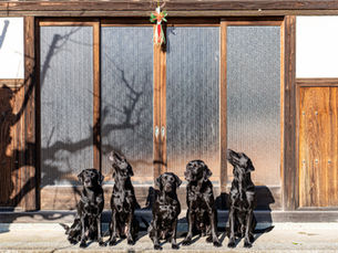 スカイラボ2025年イベントカレンダー