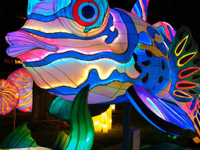 The Asian Lantern Festival is coming back to the Central Florida Zoo & Botanical Gardens