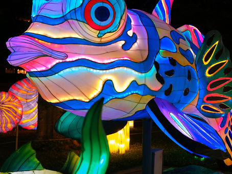 The Asian Lantern Festival is coming back to the Central Florida Zoo & Botanical Gardens