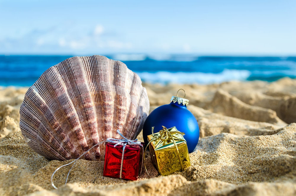 ラスティサーフボードクリスマスデスカウント Rusty Del Mar Tagged 