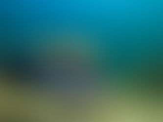 Gator in Paradise: The Unexpected Encounter That Changed a Diver's Palm Beach Swim