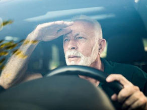 Brace Yourself: Navigating Florida's Roads Where Sunshine Meets Chaos
