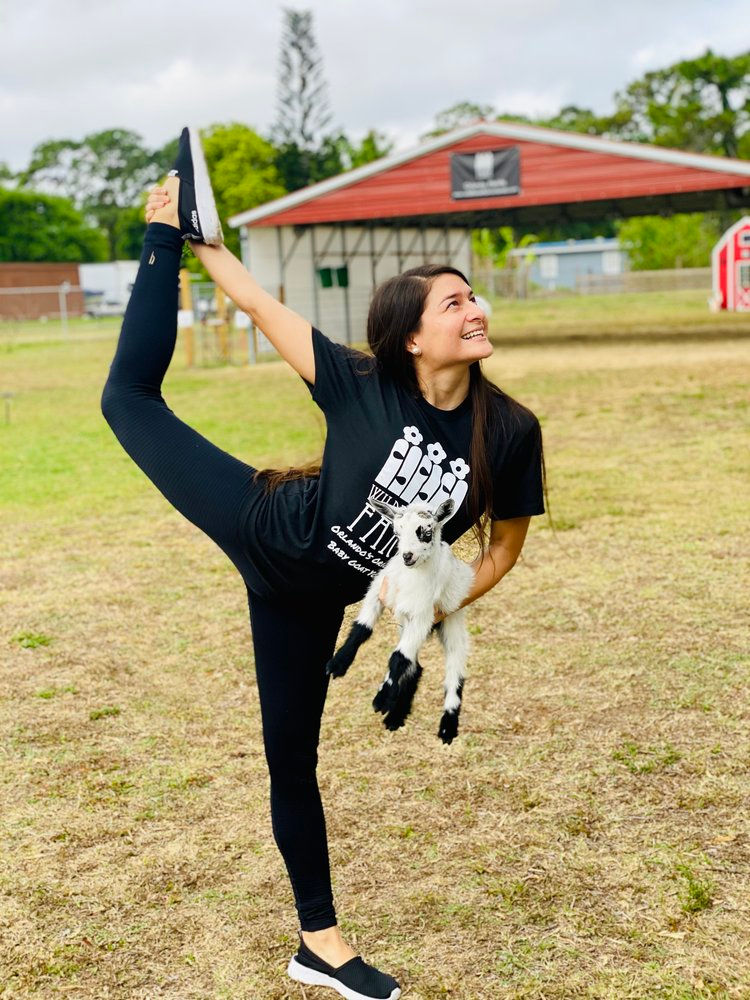 Goat yoga at Wildflower Farm