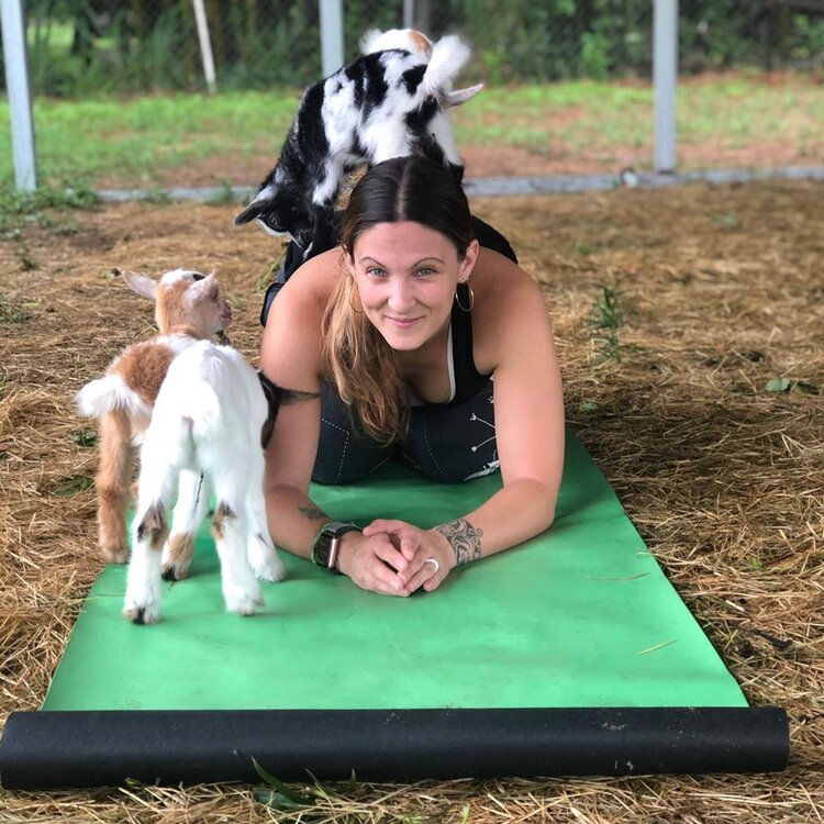 Goat yoga at Wildflower Farm in Orlando