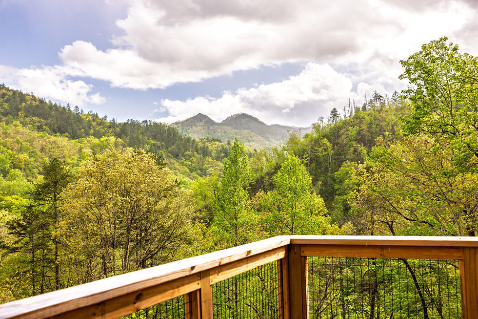 View from the newly renovated The Hemlocks