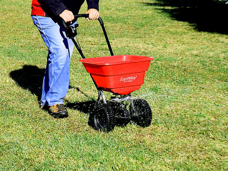 6 Tips for DIY Lawn Care