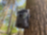 Review: Vosker V200 Wireless Security Camera