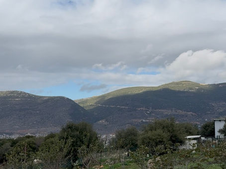 חוות רום על הר כמון היא החלום הצפוני לחופשת ספא וקולינריה