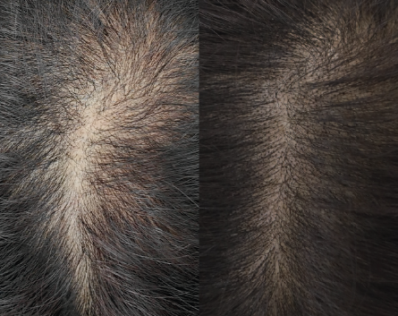 Artboard 1 copy 5.png