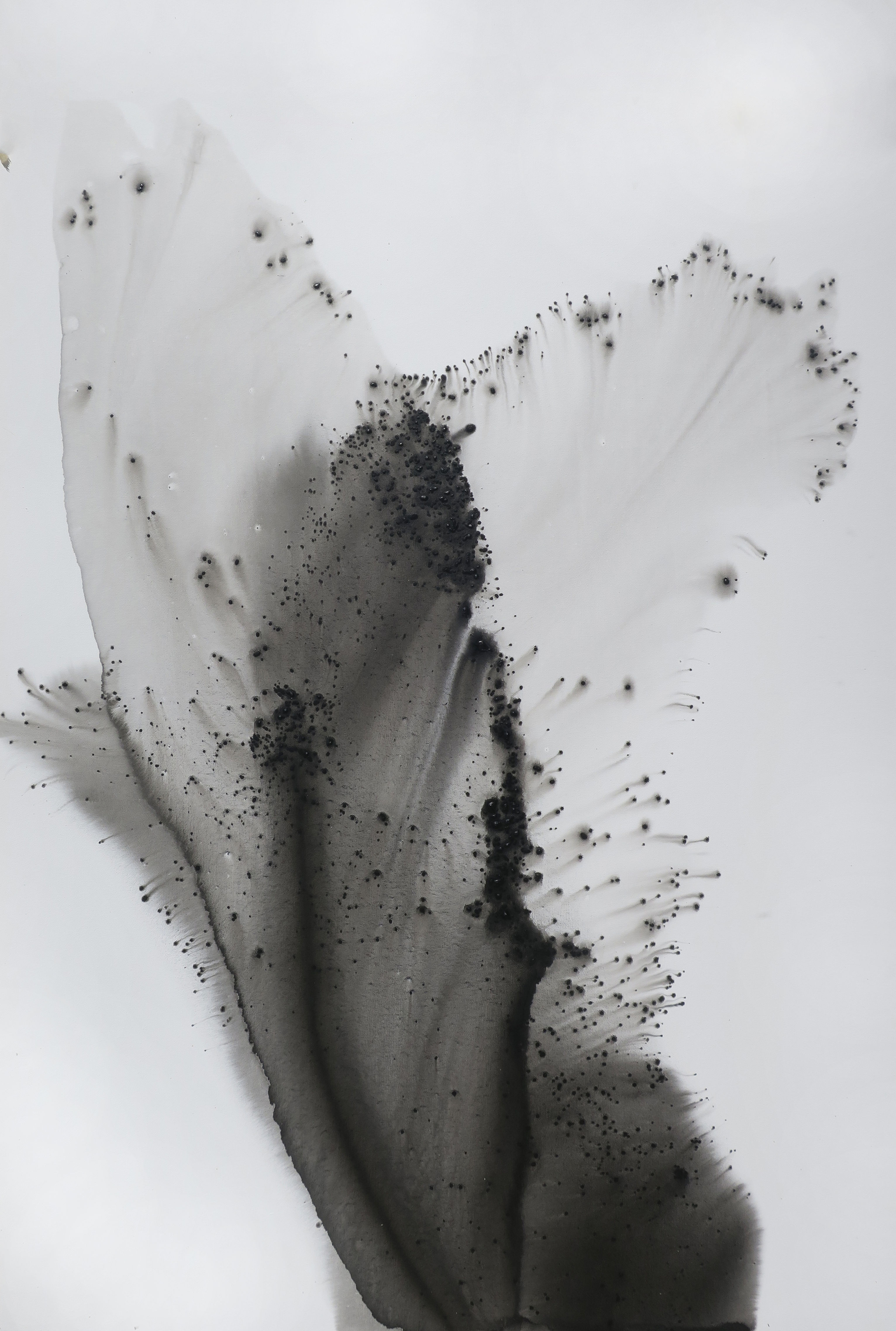 Summer 7, black ink abstract painting 120x80 cm, Muriel Napoli, full view on white background