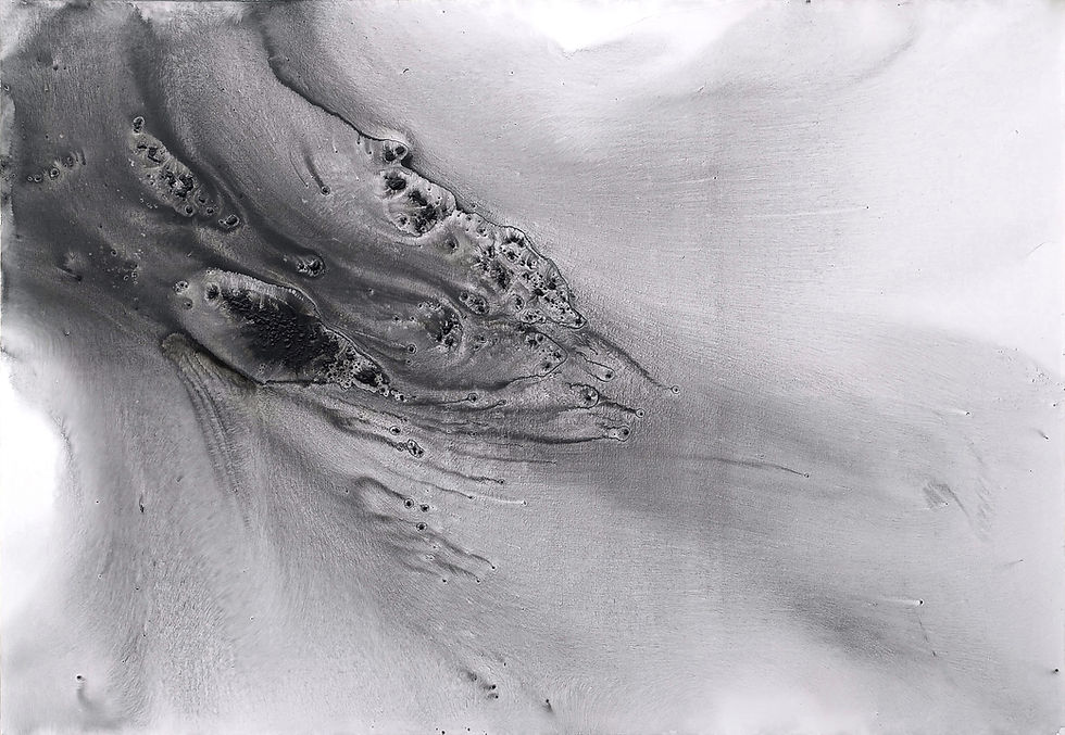 Full view Nature 533 large monochrome abstract painting 140x200 cm Muriel Napoli