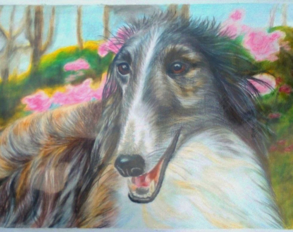 Russian Greyhound