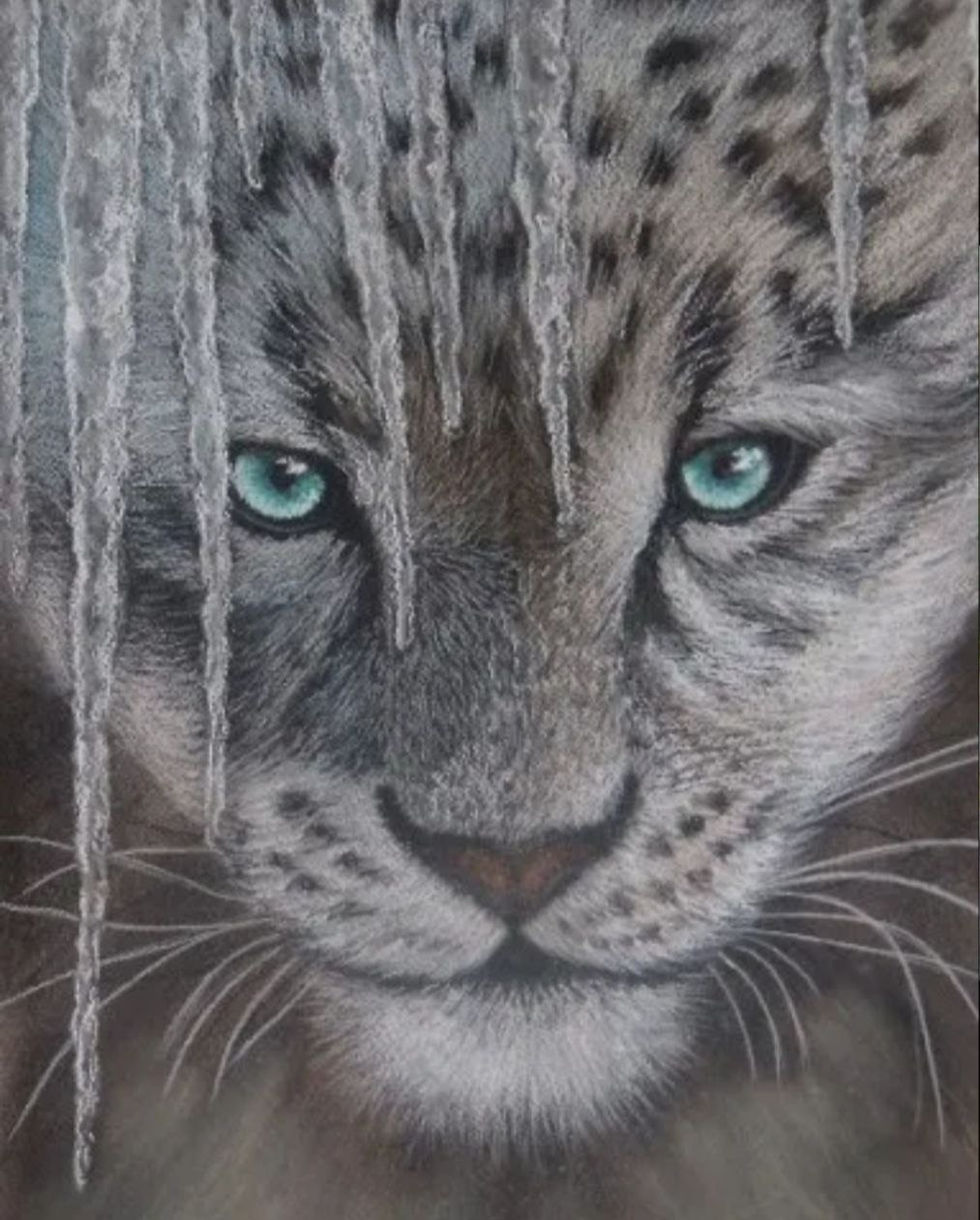 Snow Leopard