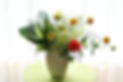 DSC00547.JPG