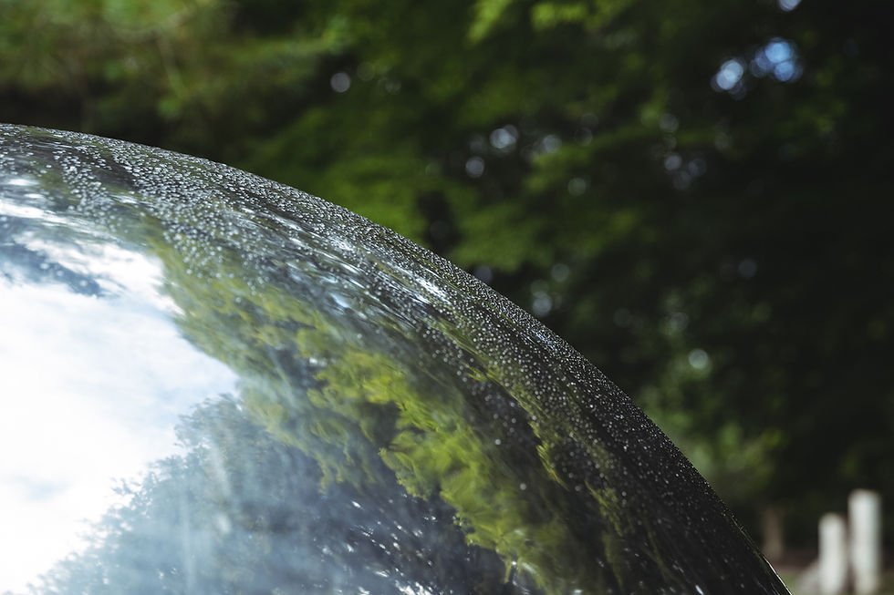 close-up-mirror-ball-garden.jpg