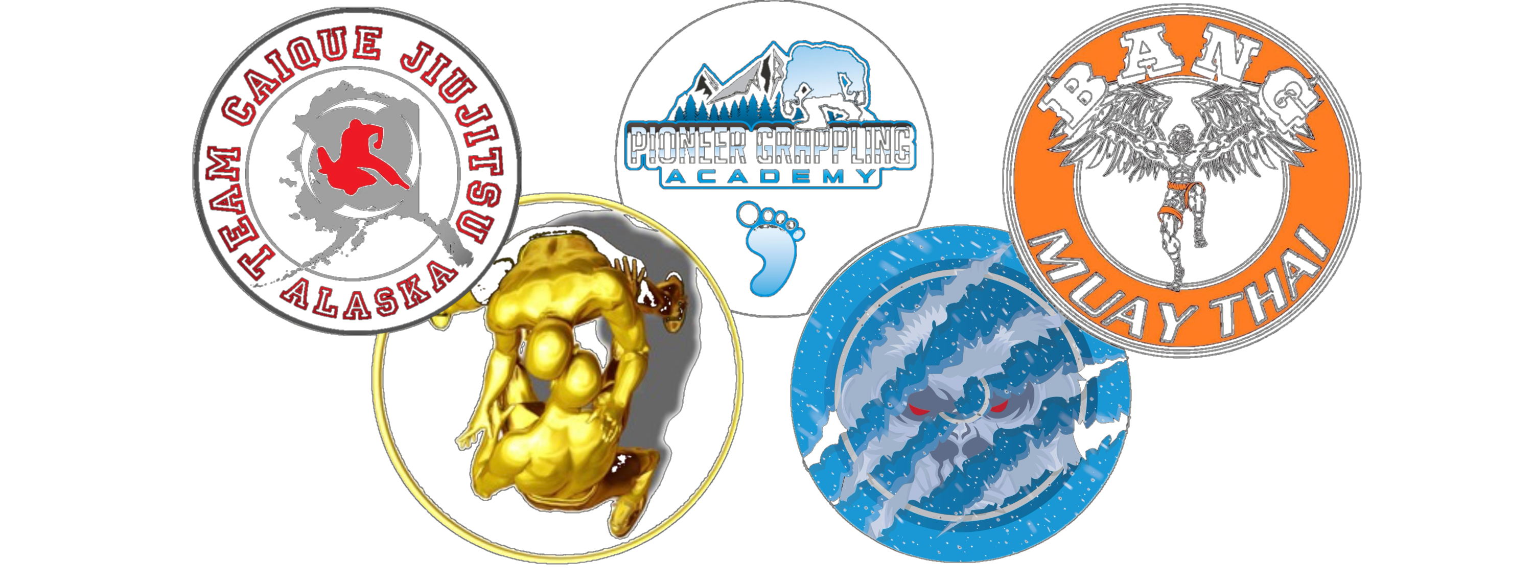 Pioneer Grappling Academy logo
