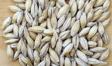 English Pale