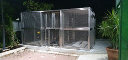 Cage - Liko (Feb 2022)