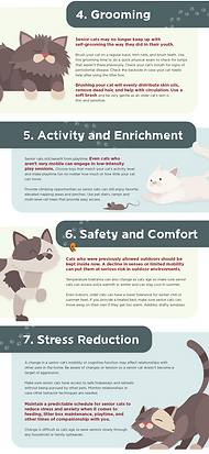 Senior Cat Tips Infographic, Page 2.png