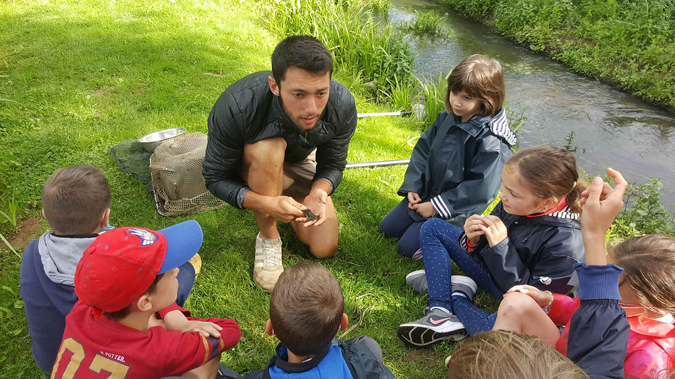 la mare Loire Nature Découverte.jpeg