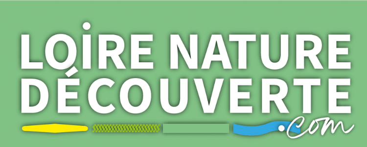 Logo Loire Nature Découverte