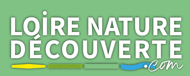 Logo LND activités plein air