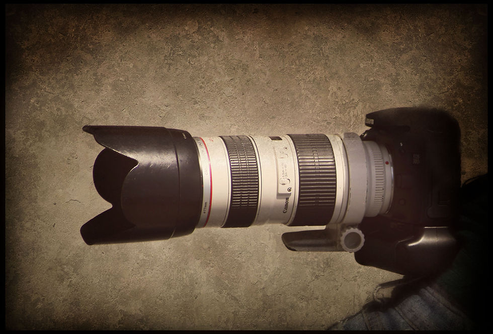 Digital Photography BEGINNER 1