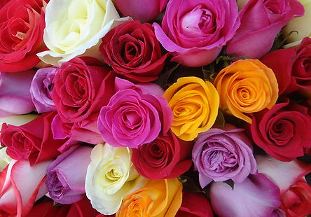 La Rose et son langage