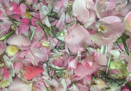 Plantes sacrées de la Saint Jean