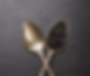 Elevate Your Tastebuds with the Rich Flavors of Paddlefish & Sturgeon Black Caviar!.png