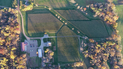 DJI_0028.jpg