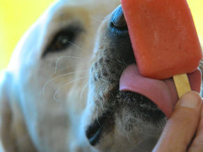 Charleston Chill: 13 No-Sweat Tips to Beat the Summer Heat at Home