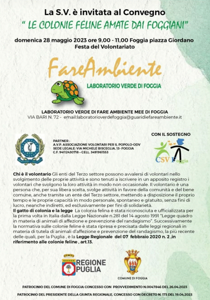 Festa del Volontariato