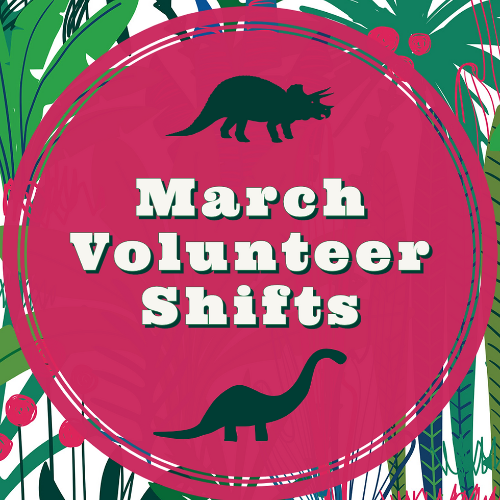 March Volunteer Shifts