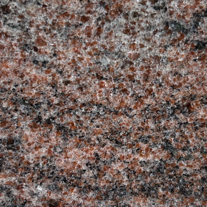 IMG_2434 Galattica Perple.jpg