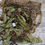 Thumbnail: Woodland Pot Pourri