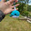 Thumbnail: Whale Buddies