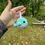 Thumbnail: Whale Buddies