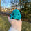Thumbnail: Baby Octo