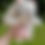 Thumbnail: Bow Bunny