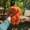 Thumbnail: Cheeky Pumpkin