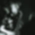 damon-poppleton-quartet