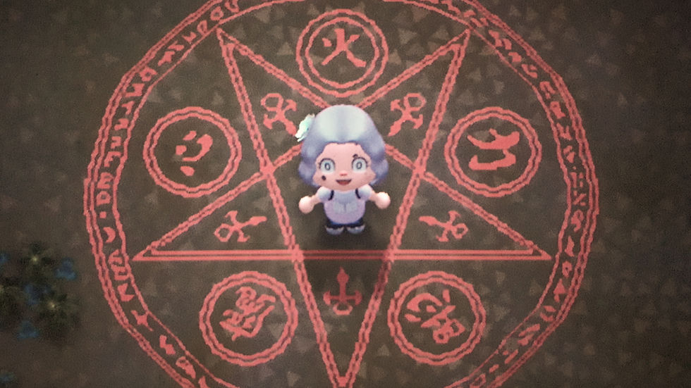 Animal Island Village