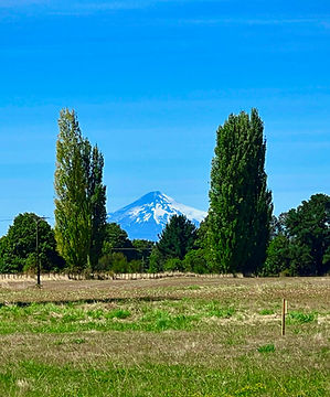 Parcelas el monje