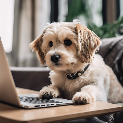 Cute dog using a laptop