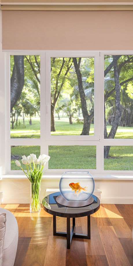 Goldfish living room with orange cushion