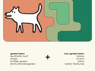 A Dog Puzzle Nature