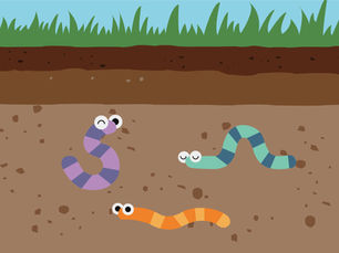 Earthworm Canteen